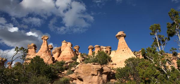 Fallen Timber Ridge Hoodoos