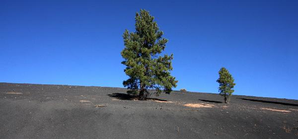 Sunset Crater Volcano National Monument