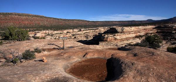 Natural Bridges National Monument