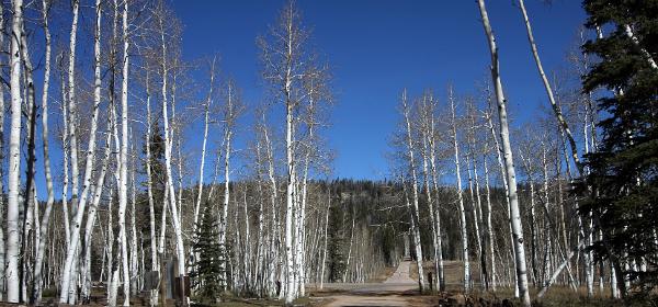 Markagunt High Plateau Scenic Byway