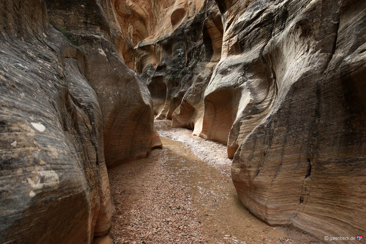 Willis Creek