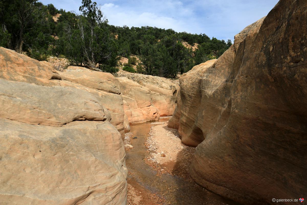 Willis Creek