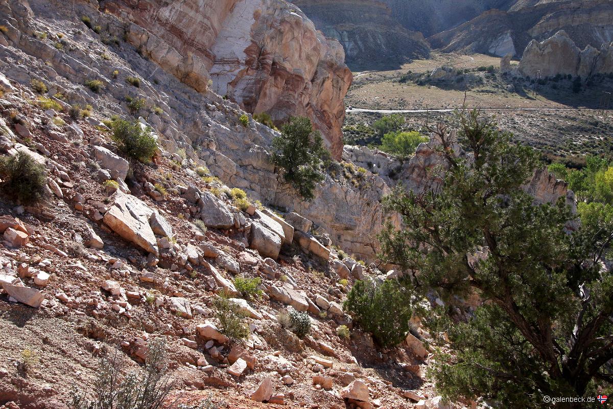 Yellow Rock