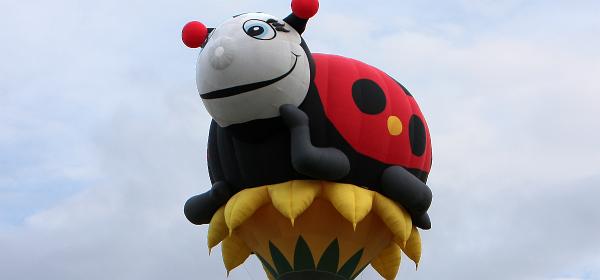 167