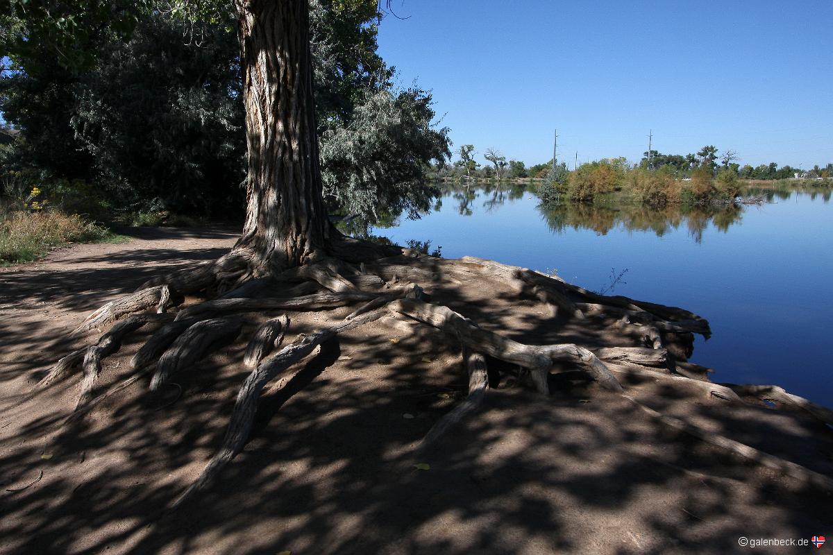 James M. Robb Colorado River State Park