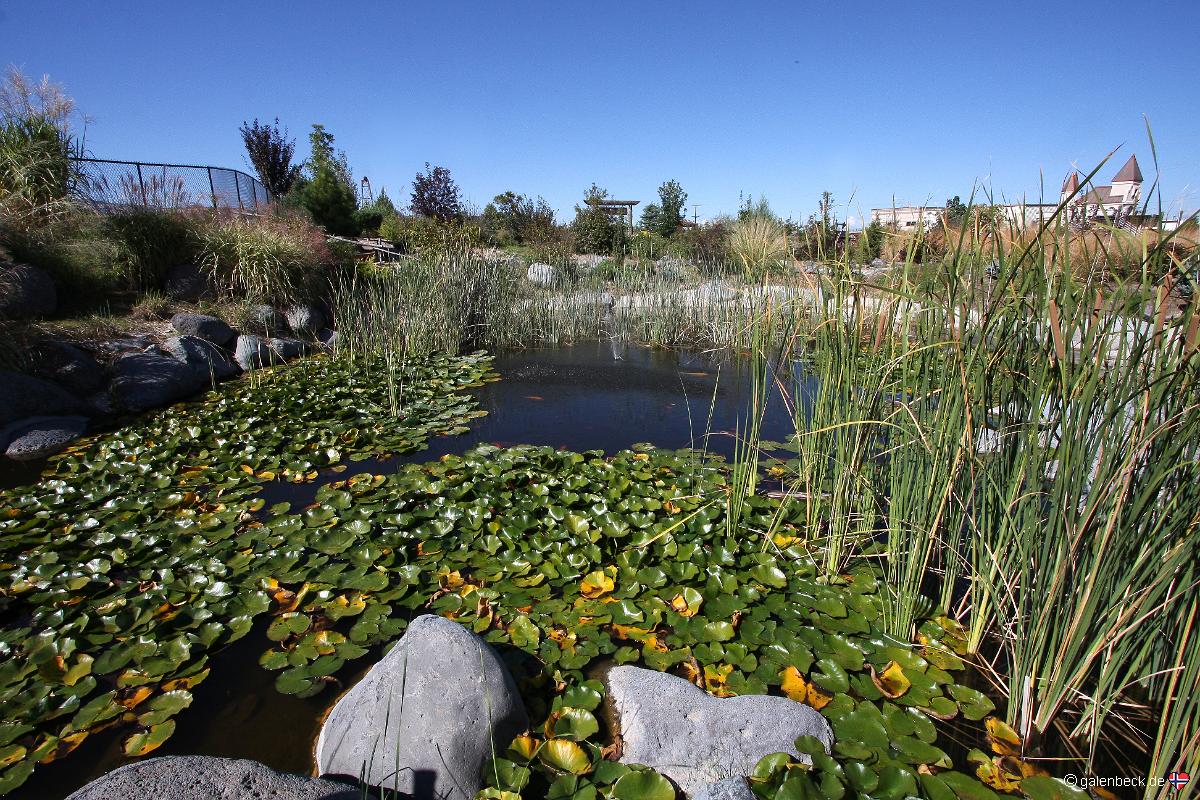 Western Colorado Botanical Gardens
