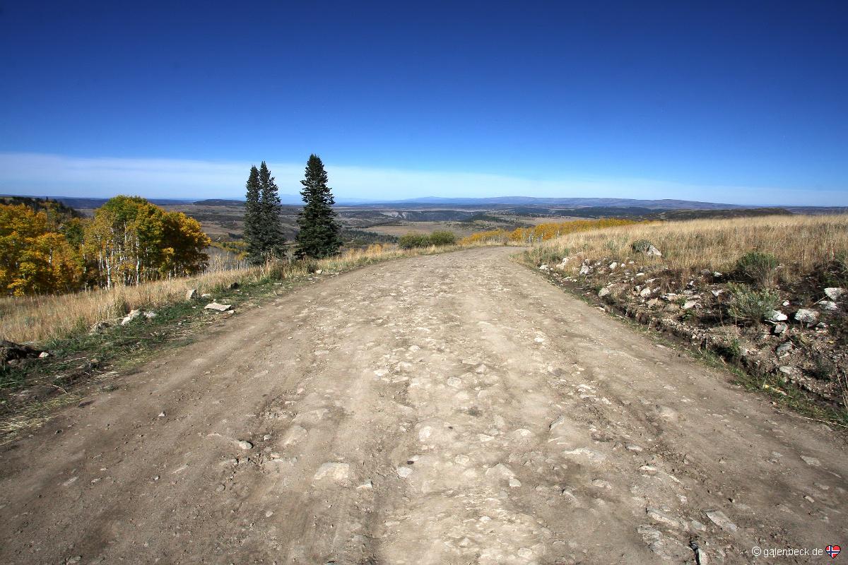 Last Dollar Road