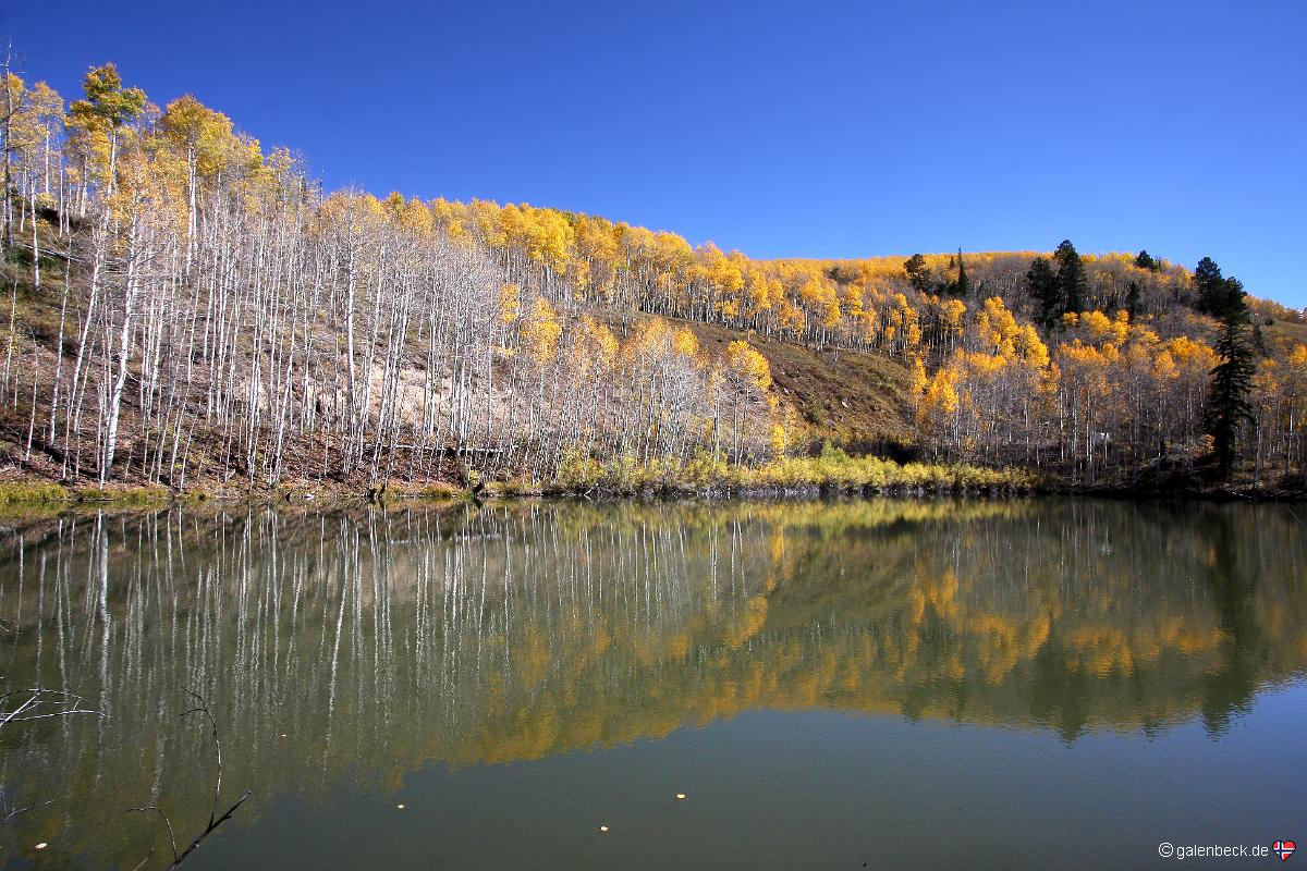 Cushman Lake