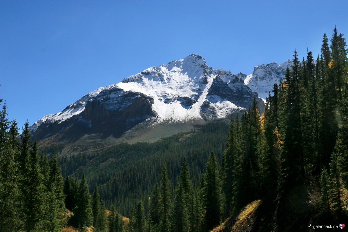Lizard Head Pass