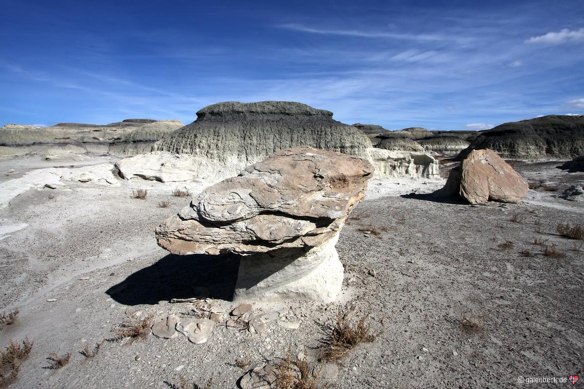 Bisti Badlands Wilderness Area South