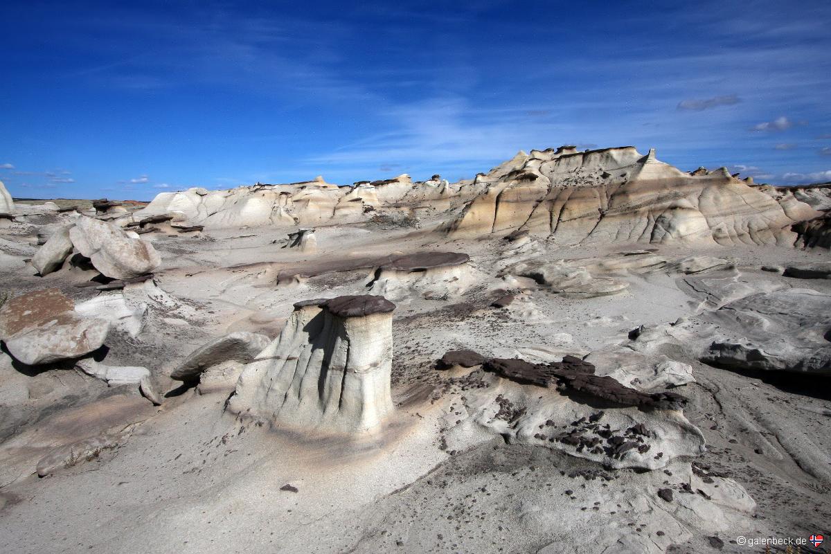 Bisti Badlands Wilderness Area South