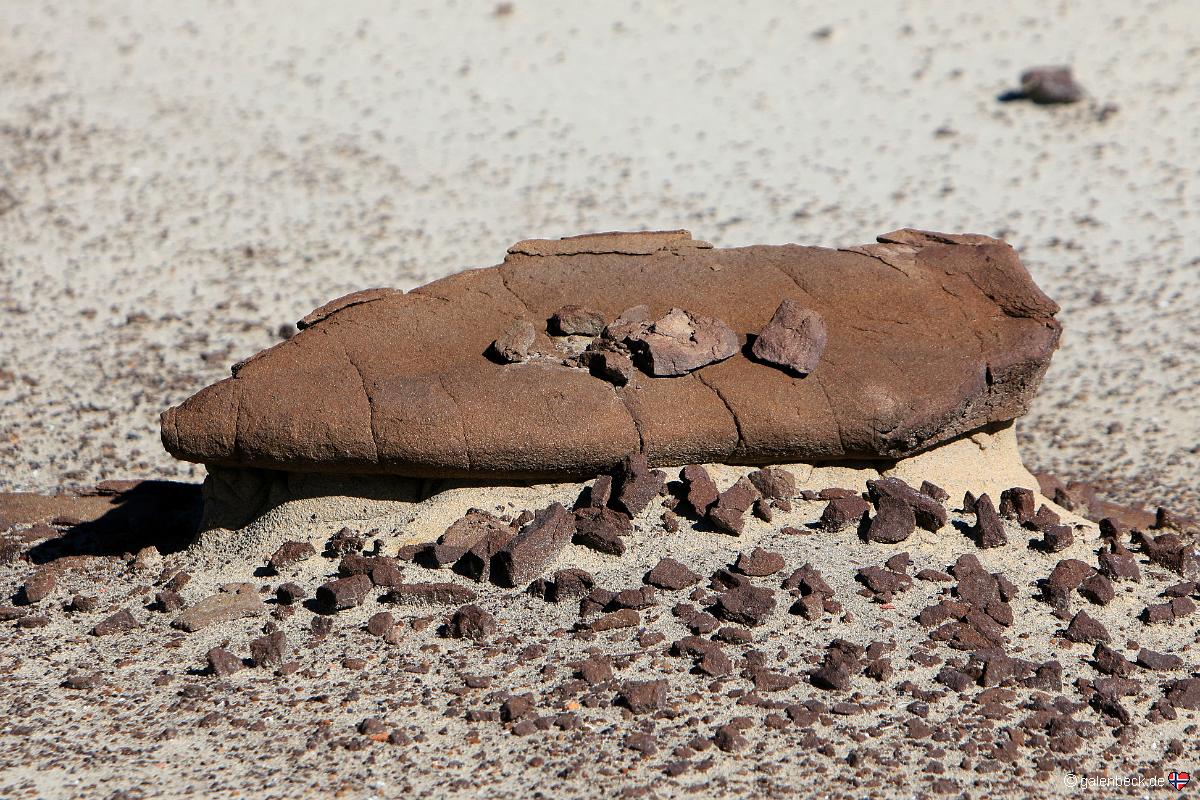 Bisti Badlands Wilderness Area South