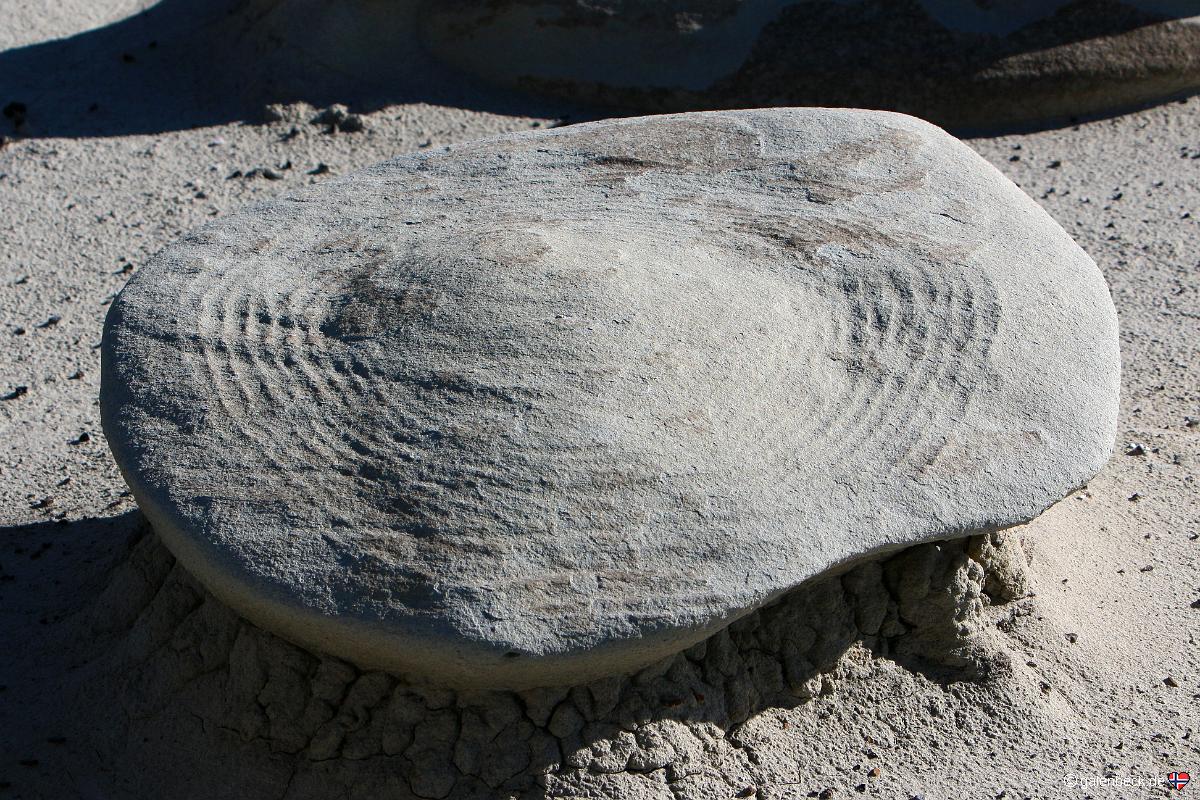 Bisti Badlands Wilderness Area South