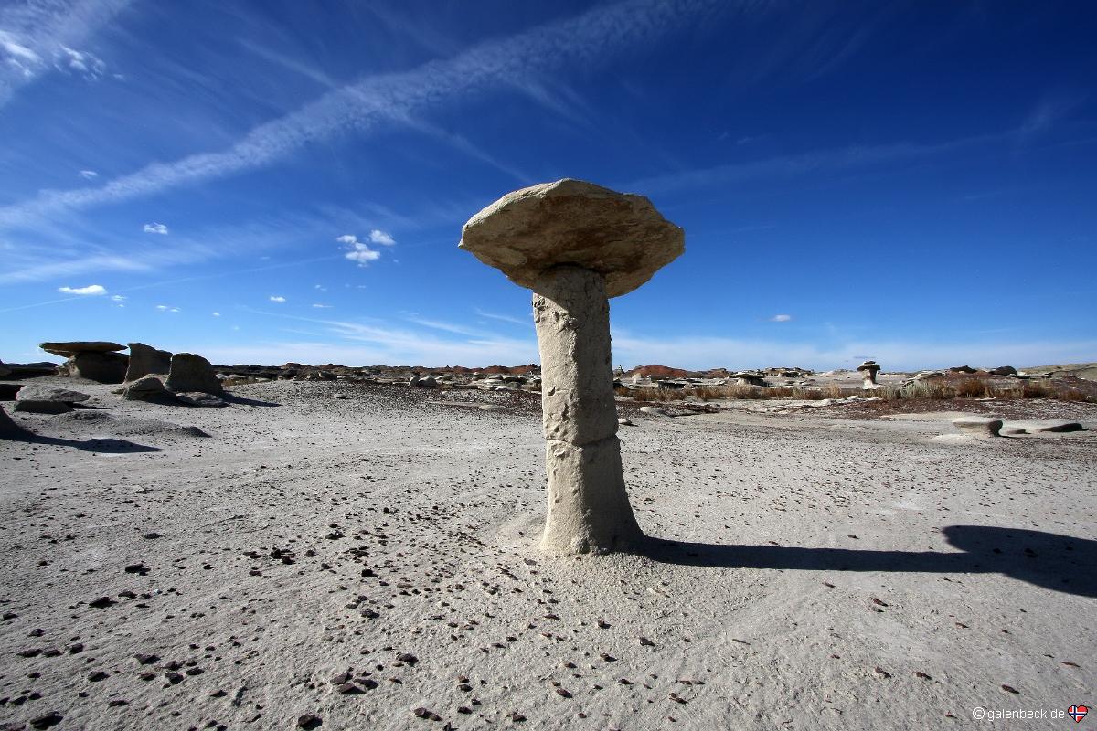 Bisti Badlands Wilderness Area South