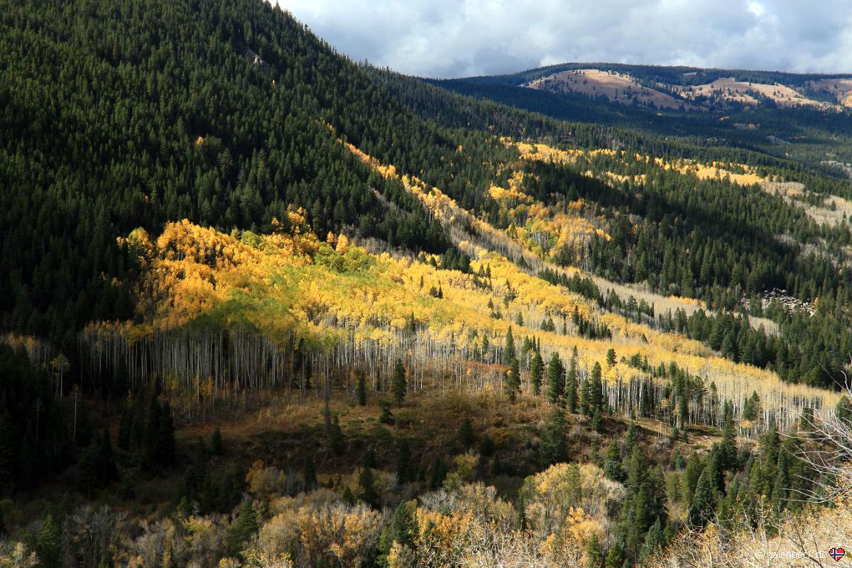 Independence Pass