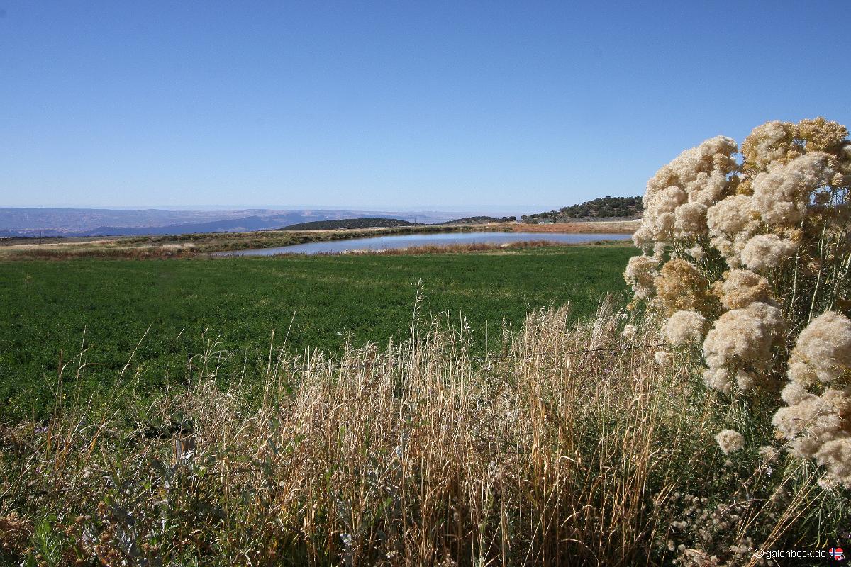 Sand Flats Road