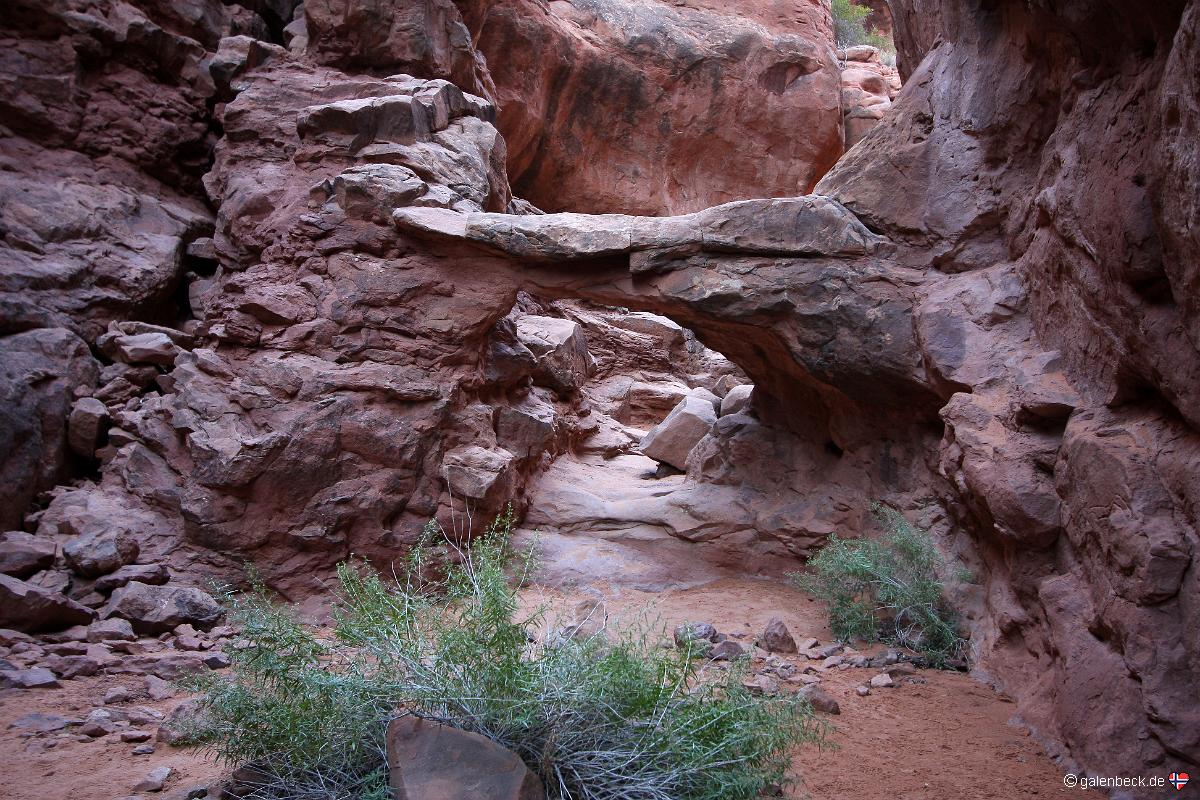 Arches National Park