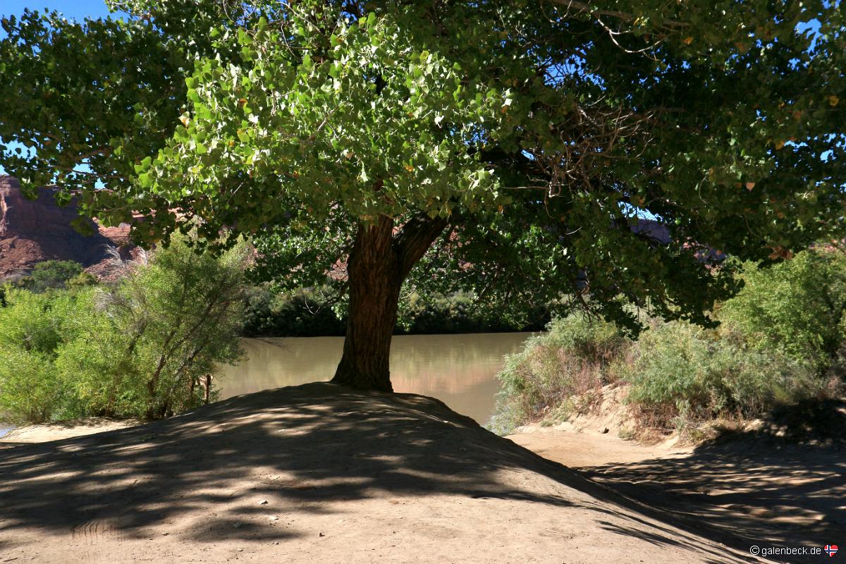 Mineral Bottom Road