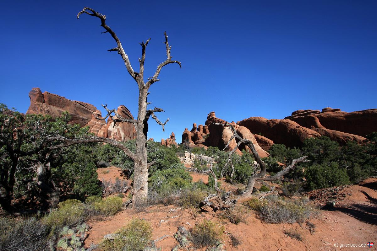 Devils Garden Trail