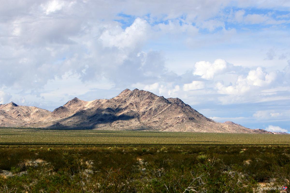 Mojave National Preserve
