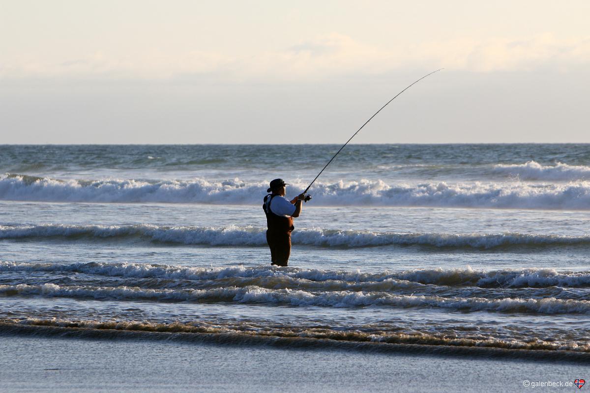Pismo State Beach