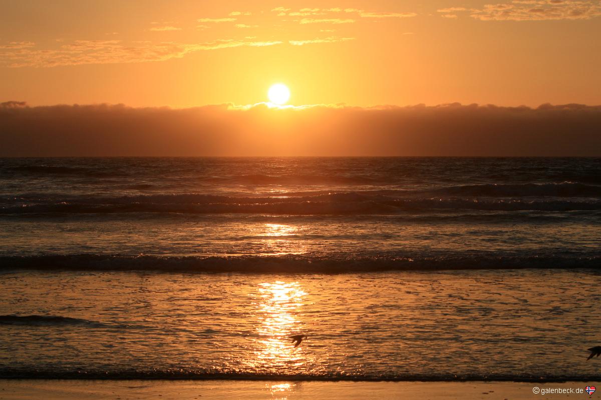 Pismo State Beach