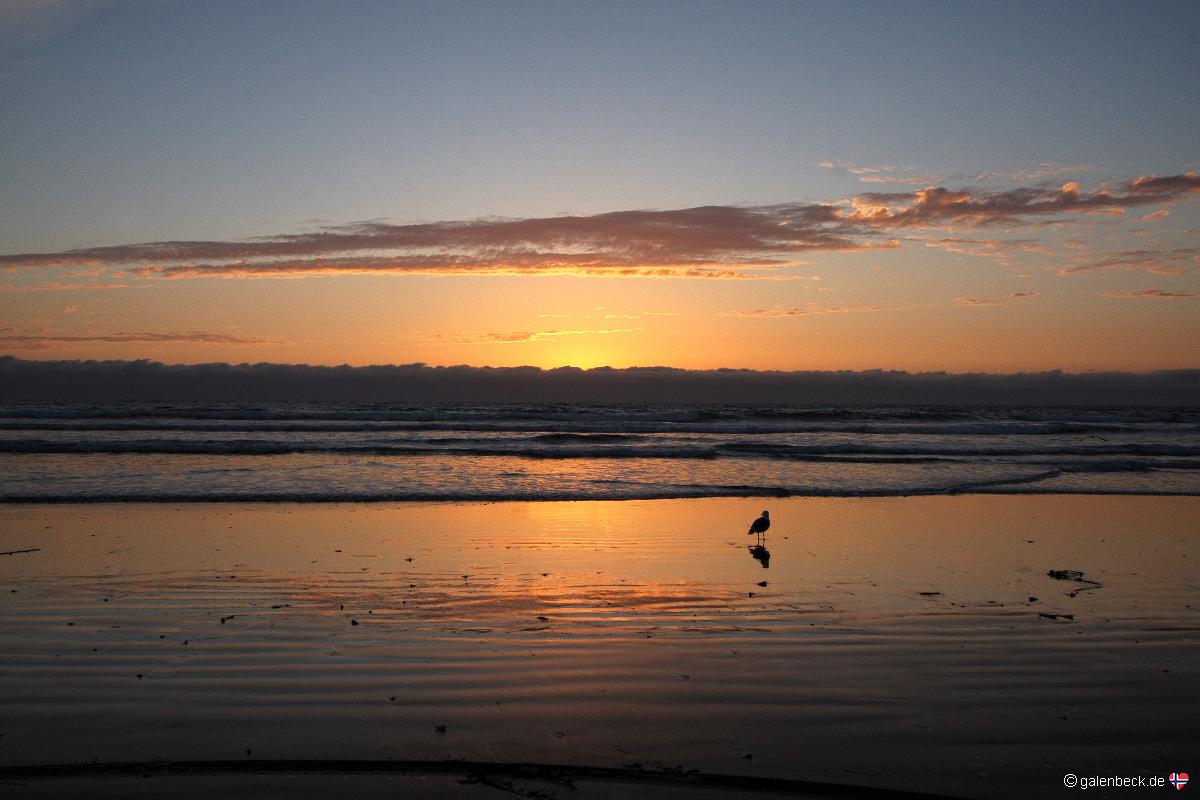 Pismo State Beach