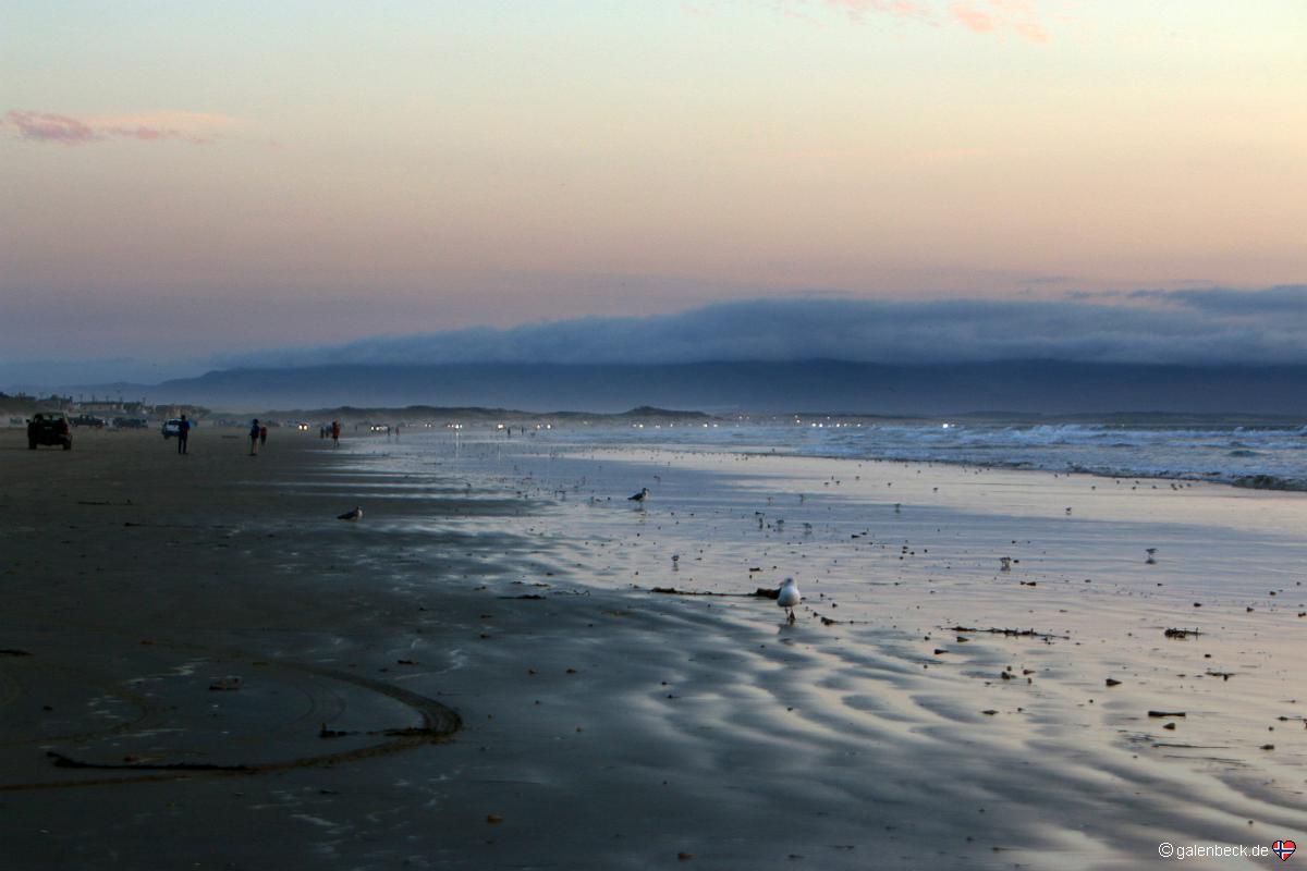 Pismo State Beach