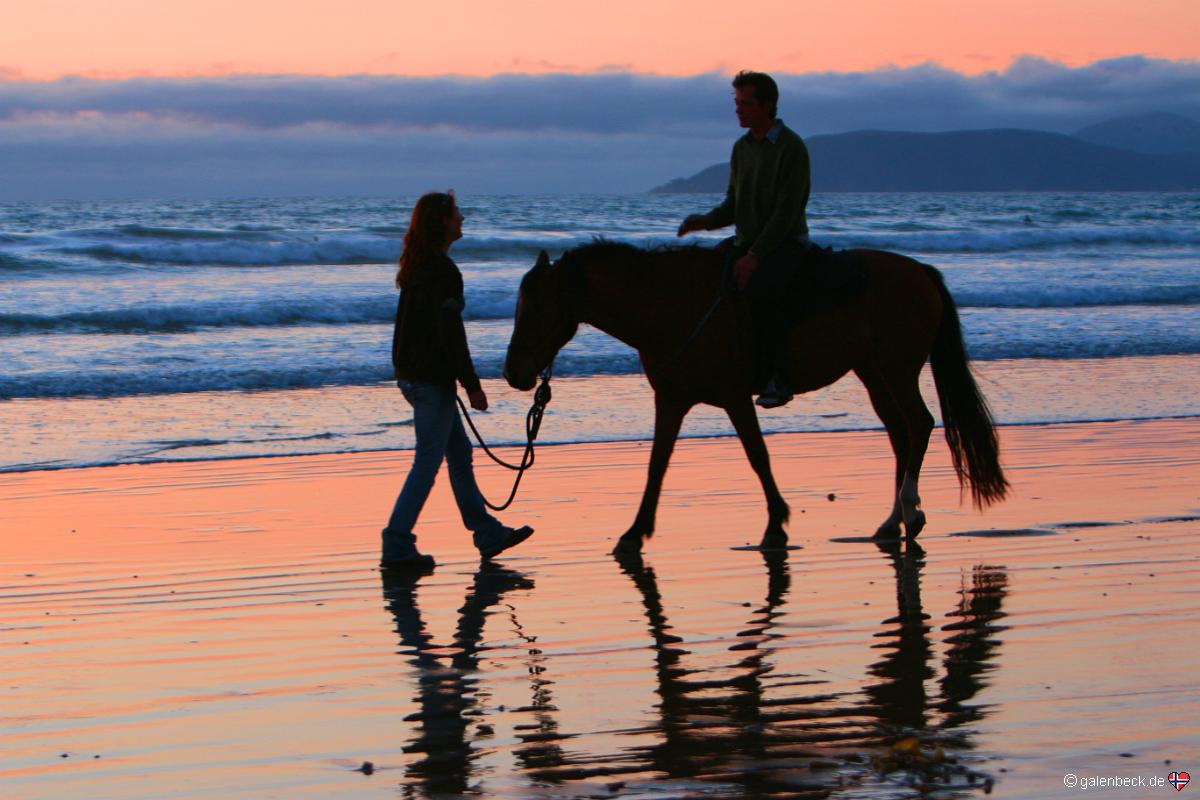 Pismo State Beach
