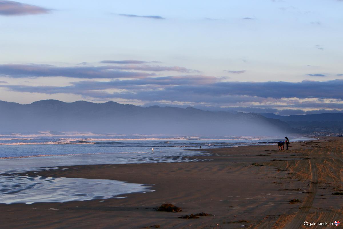 Pismo State Beach AM