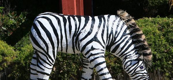 80