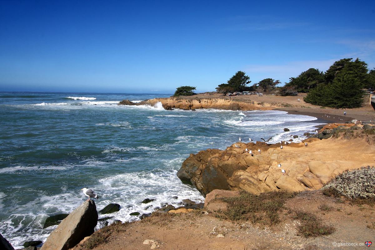 Moonstone Beach Boardwalk