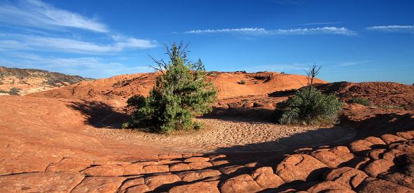 Snow Canyon State Park