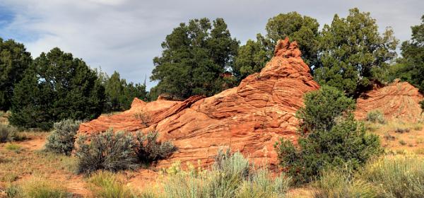 Coyote Buttes South Camping