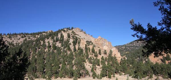 Lake Fork of the Gunnison