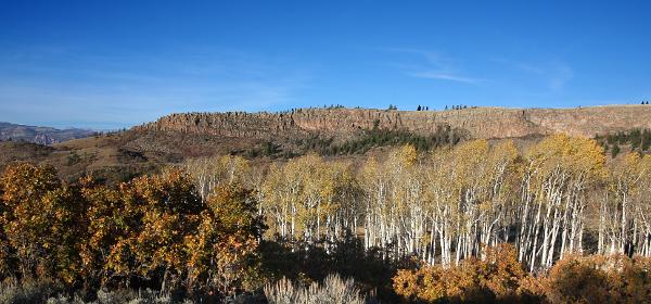 Blue Mesa Road