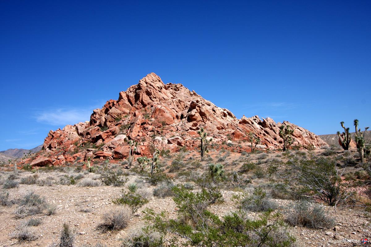 Gold Butte Road