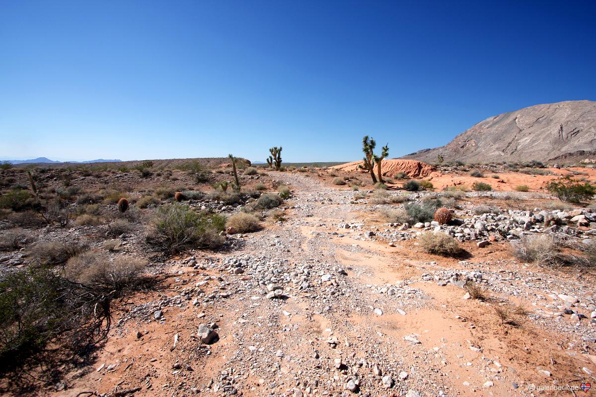 Gold Butte Road