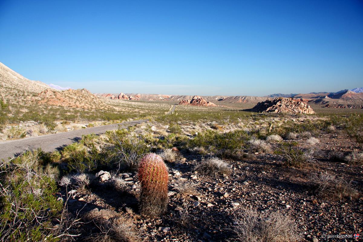 Gold Butte Road