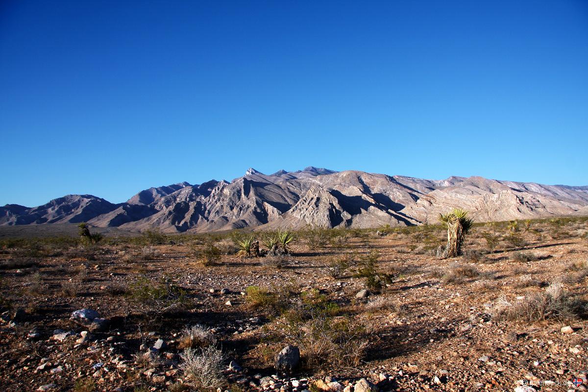 Gold Butte Road