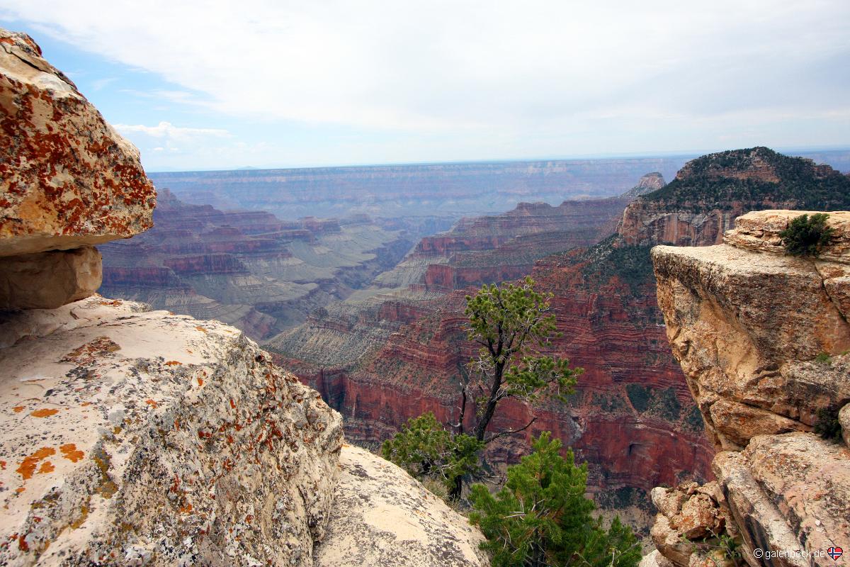 Grand Canyon National Park North Rim