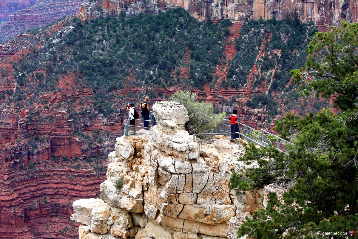 Grand Canyon National Park North Rim