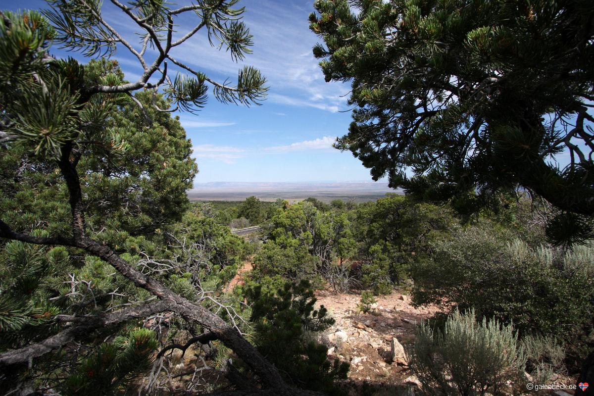 Highway 89A