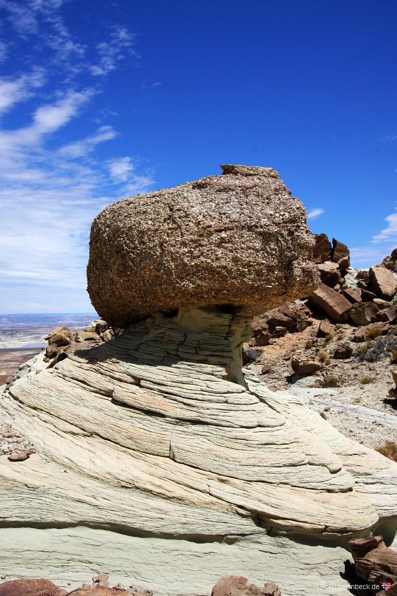 Stud Horse Point