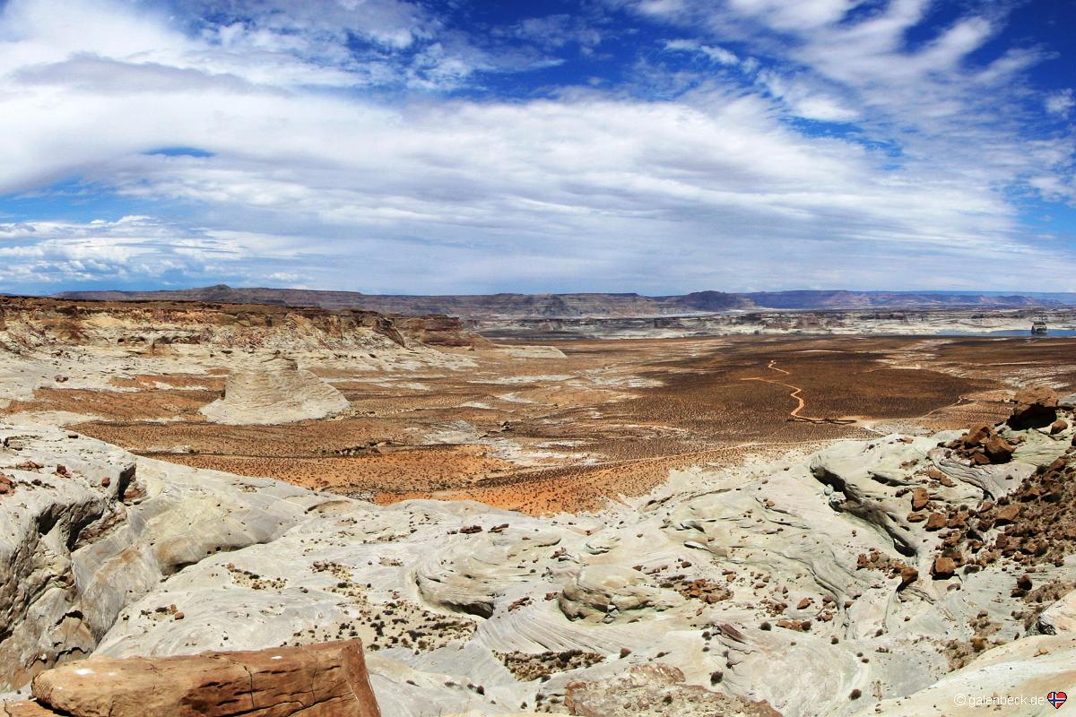 Stud Horse Point
