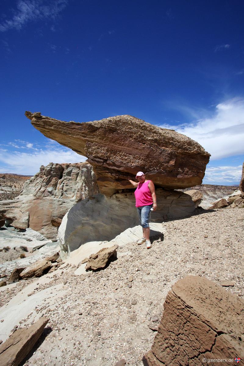 Stud Horse Point