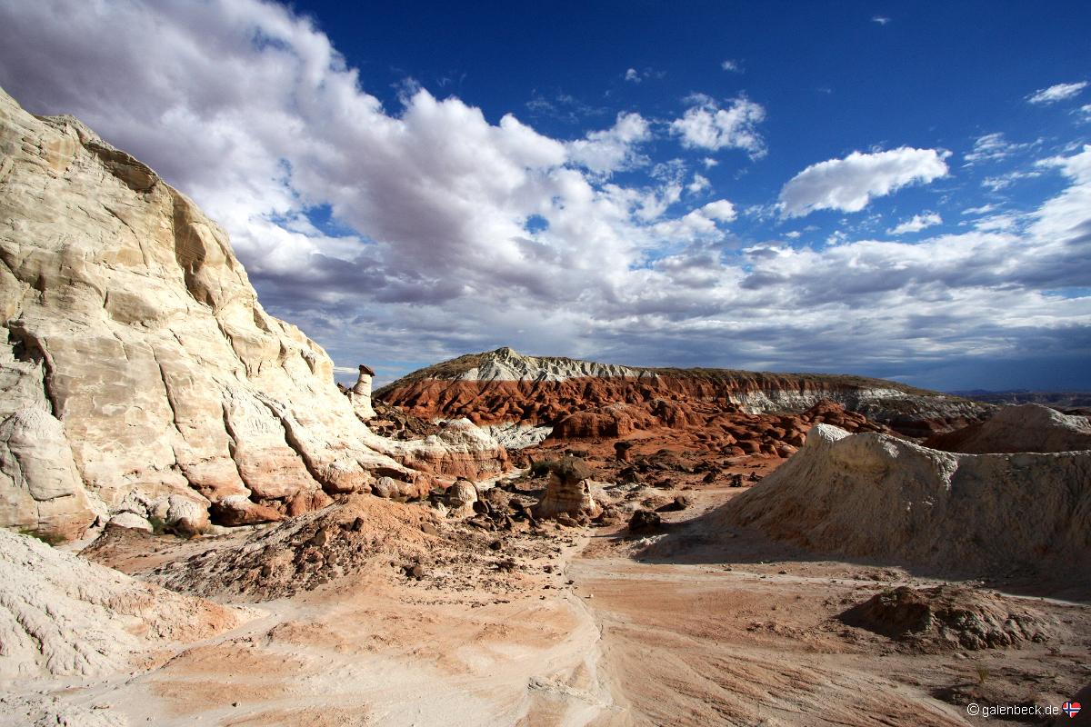 The Rimrocks