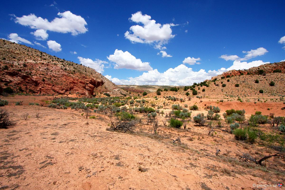 Buckskin Wash