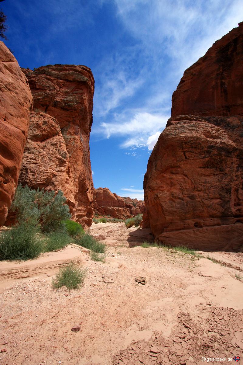 Buckskin Wash