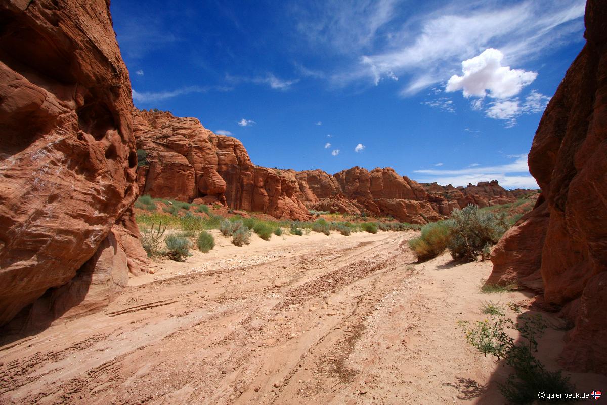Buckskin Wash